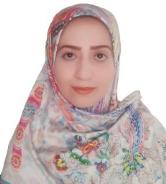 CSAE2026 | Masoomeh Gomroki